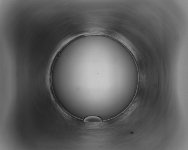 X0000101701485200807171504