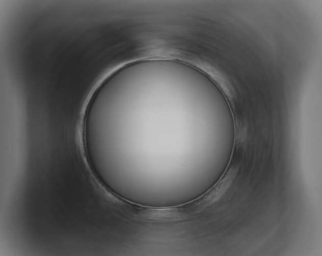 X0000101701486200807171504