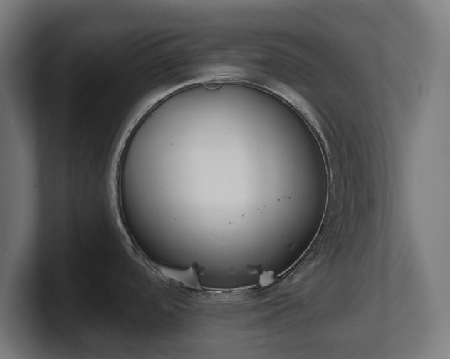 X0000101701488200807171504