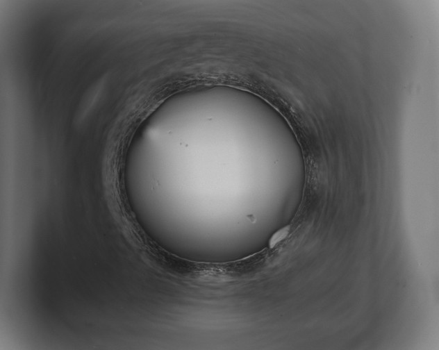 X0000101701489200807171503