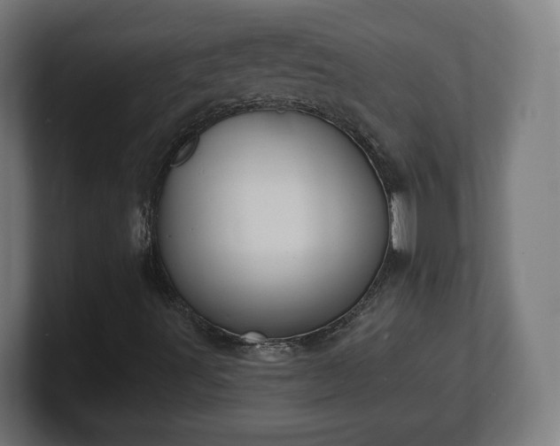 X0000101701491200807171503