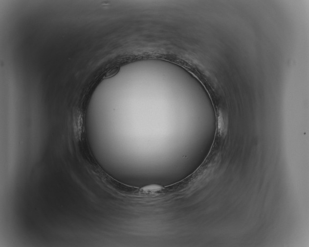 X0000101701492200807171503