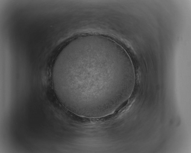 X0000101701494200807171503