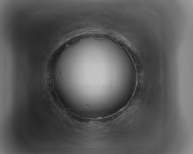 X0000101701496200807171503