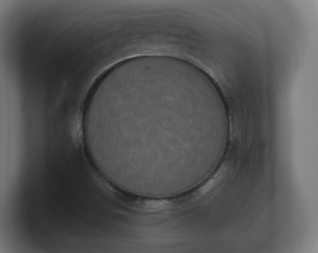 X0000101701498200807171503