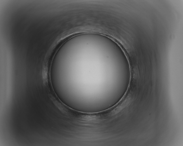 X0000101701499200807171503