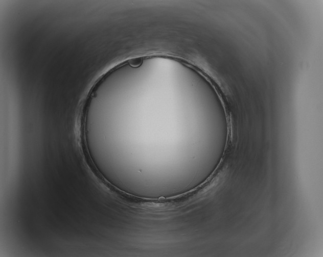 X0000101701500200807171503