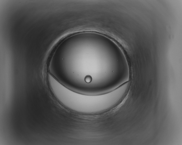 X0000101701502200807171503