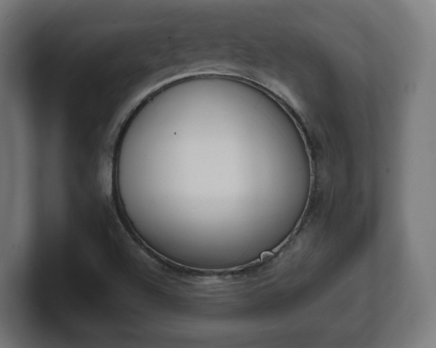 X0000101701504200807171504