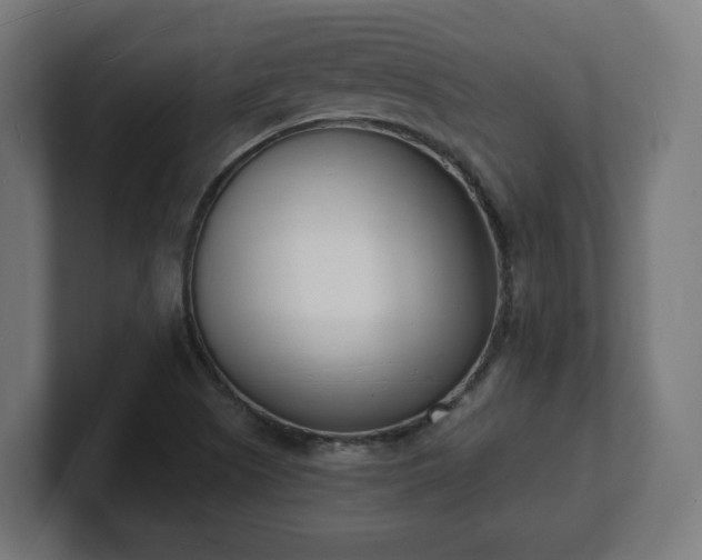 X0000101701505200807171504