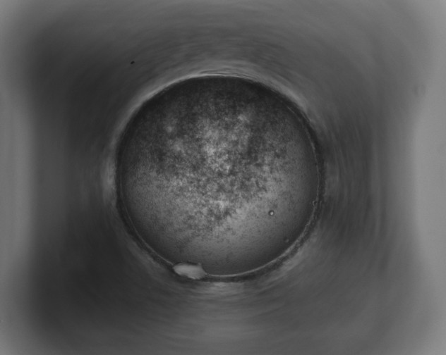 X0000101701506200807171504