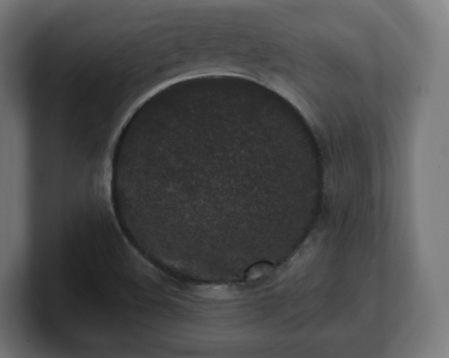 X0000101701508200807171504