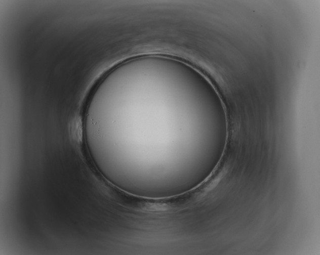 X0000101701509200807171504