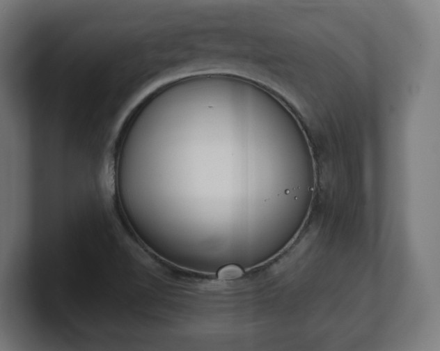 X0000101701510200807171504