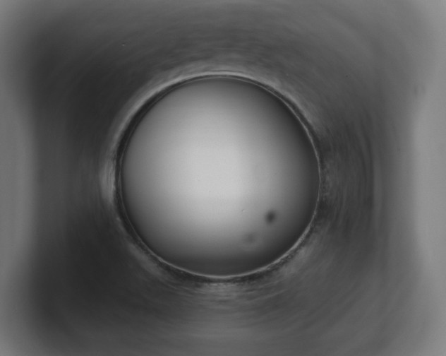 X0000101701511200807171504