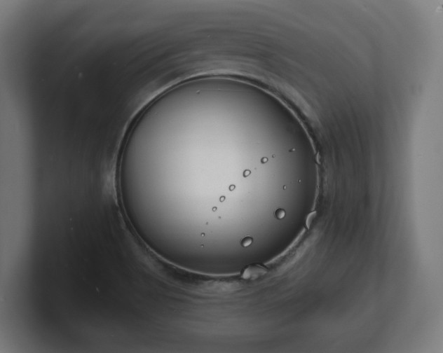 X0000101701513200807171504