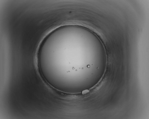 X0000101701517200807171504