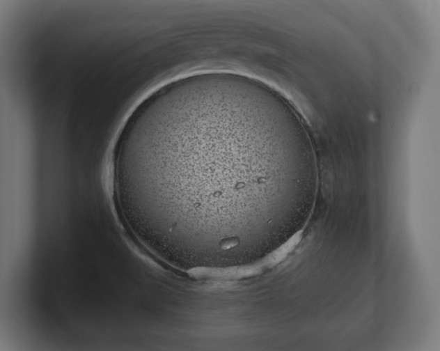 X0000101701519200807171504