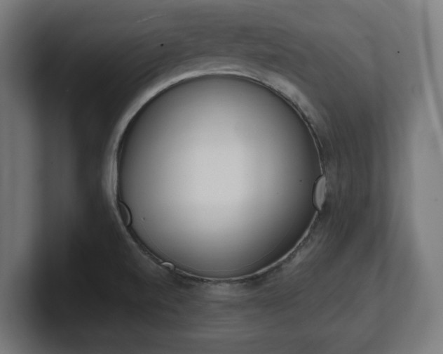 X0000101701520200807171504