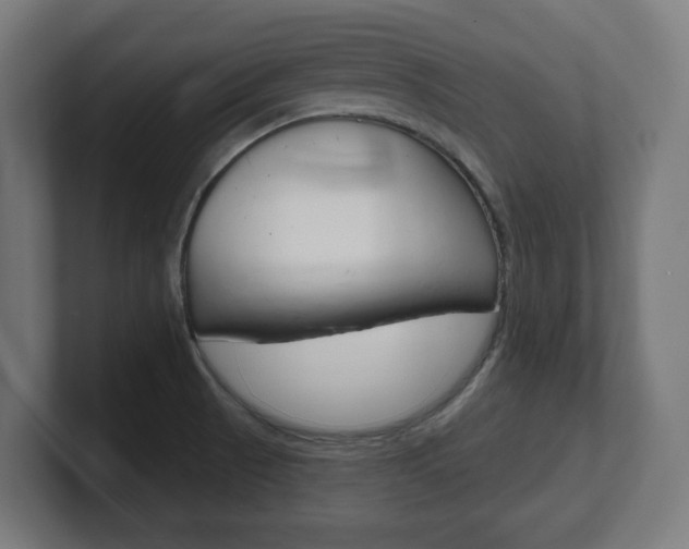 X0000101701521200807171504