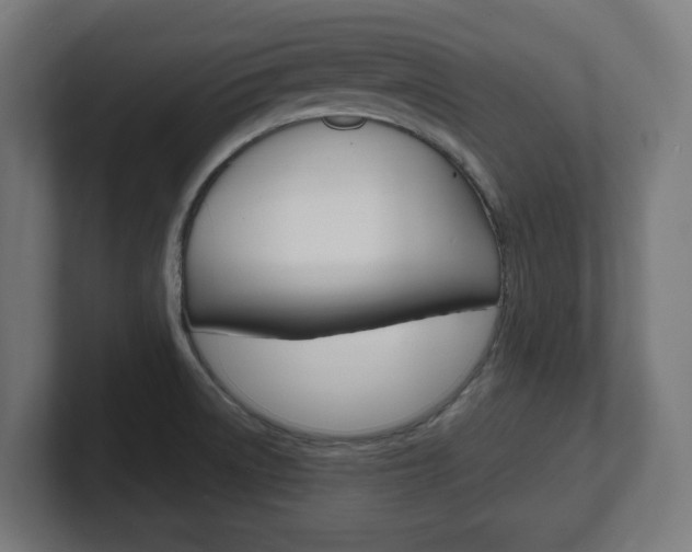 X0000101701522200807171504