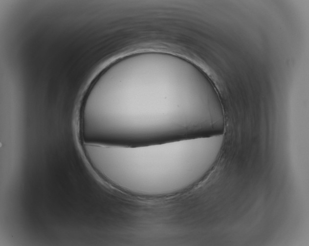 X0000101701523200807171504