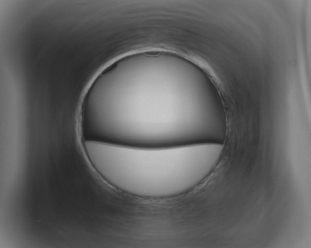 X0000101701524200807171504