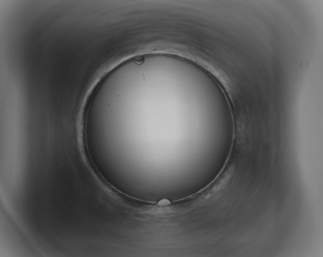 X0000101701525200807171504