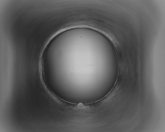 X0000101701526200807171504