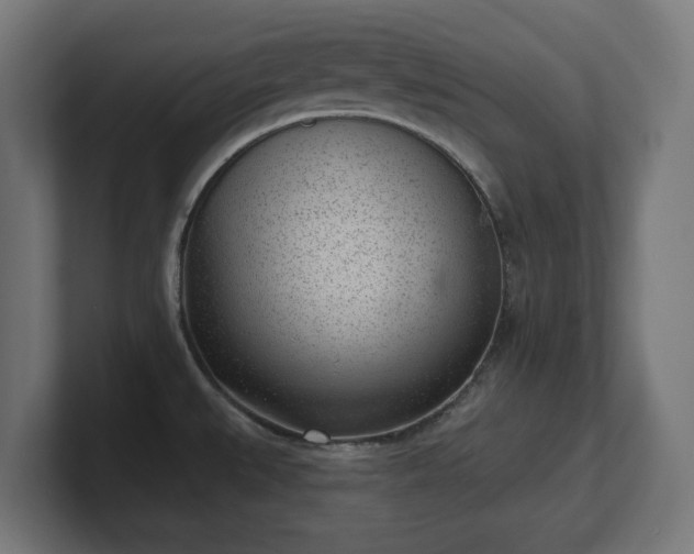 X0000101701527200807171504