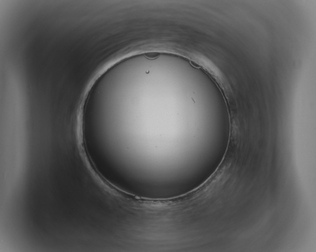 X0000101701528200807171504