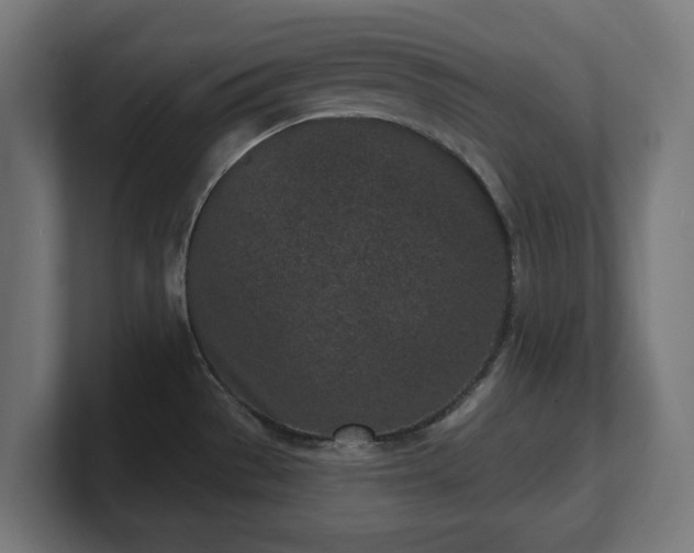 X0000101701529200807171504