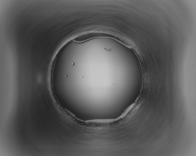 X0000101701530200807171504