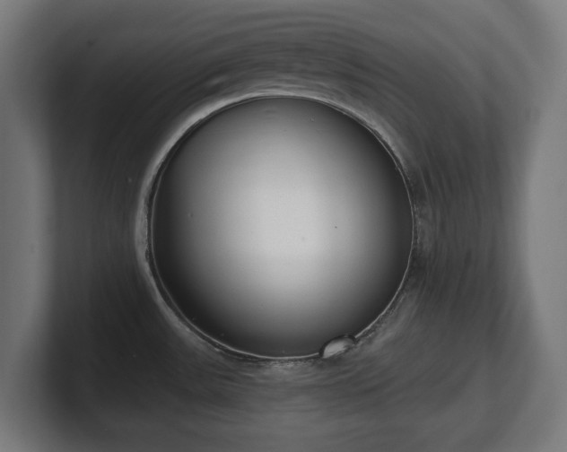 X0000101701531200807171504