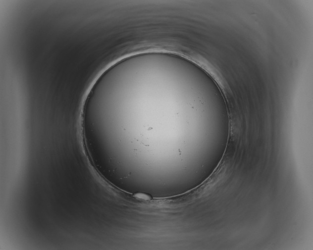 X0000101701532200807171504