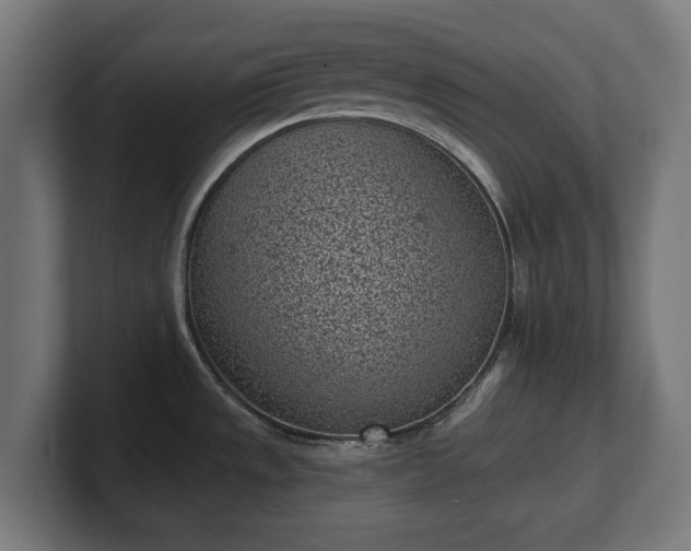 X0000101701533200807171504