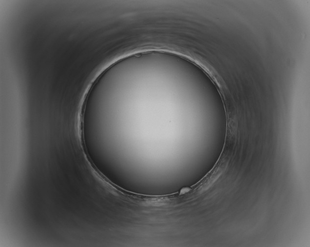 X0000101701535200807171504