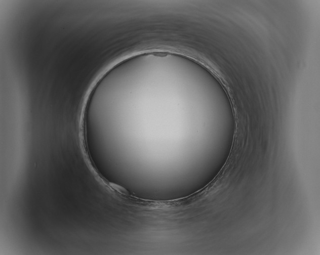 X0000101701536200807171504