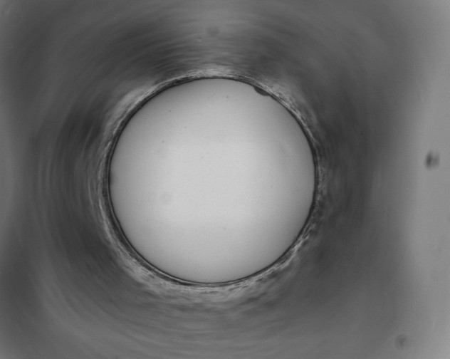 X0000101700001200807241444