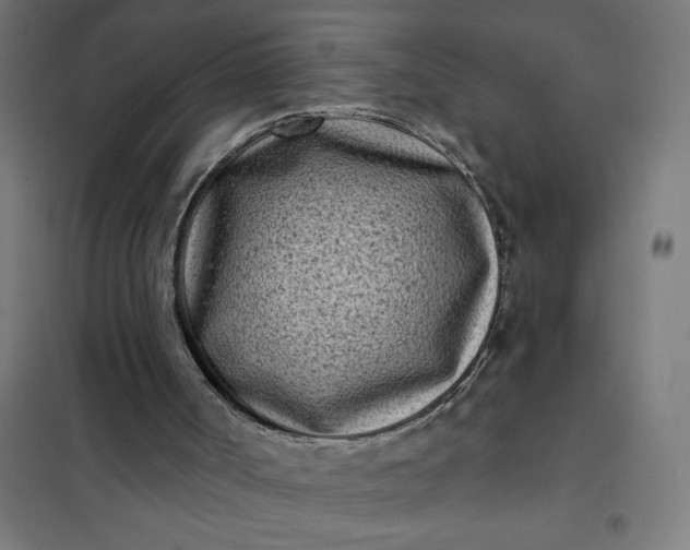 X0000101700002200807241443