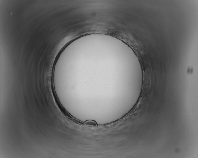 X0000101700003200807241443