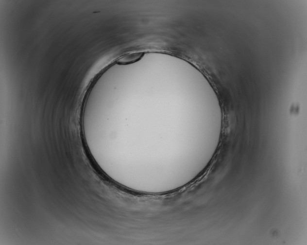 X0000101700004200807241443