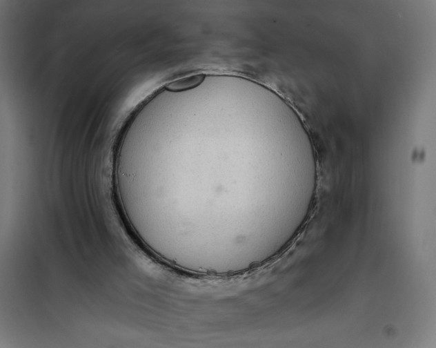 X0000101700005200807241443