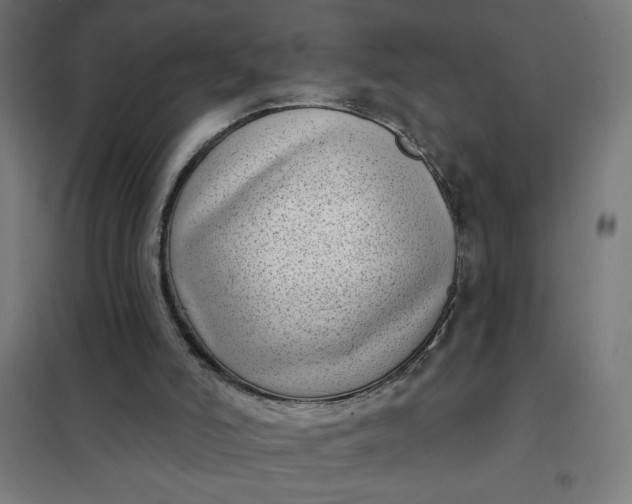 X0000101700006200807241443