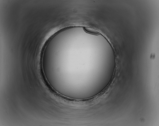 X0000101700008200807241443