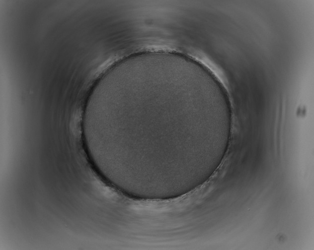 X0000101700009200807241443