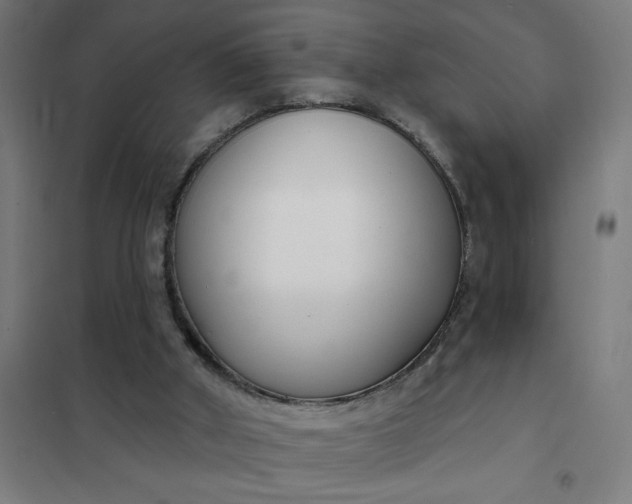 X0000101700010200807241443