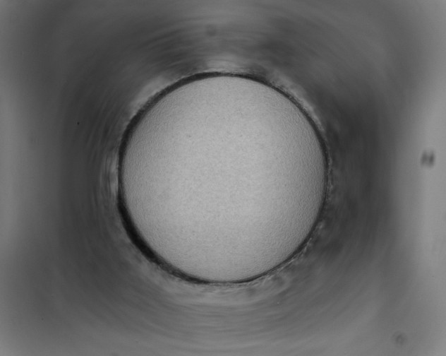 X0000101700011200807241443