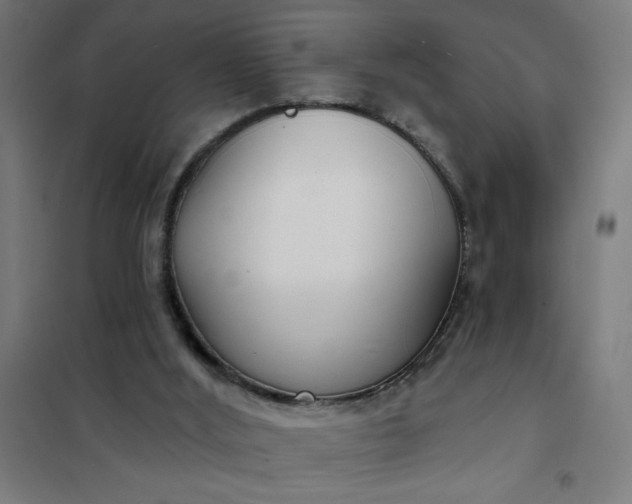 X0000101700012200807241443