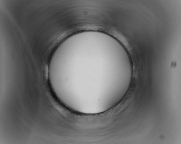 X0000101700013200807241443